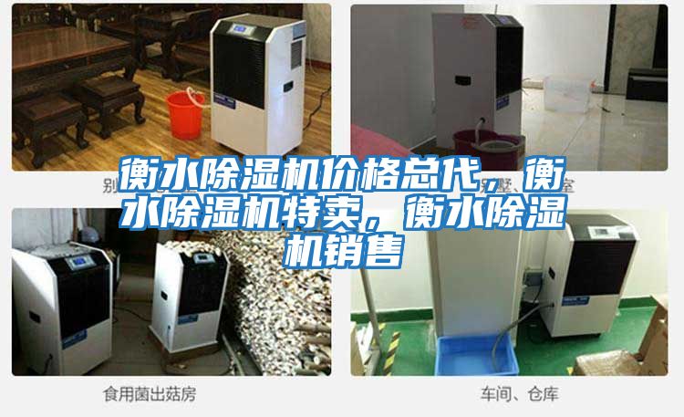 衡水除濕機價(jià)格總代，衡水除濕機特賣(mài)，衡水除濕機銷(xiāo)售