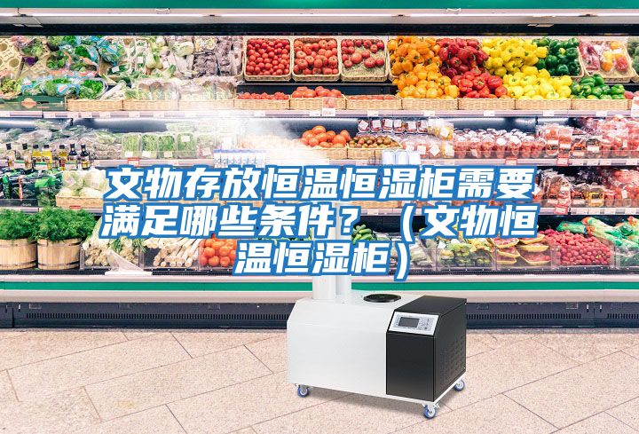 文物存放恒溫恒濕柜需要滿(mǎn)足哪些條件？（文物恒溫恒濕柜）