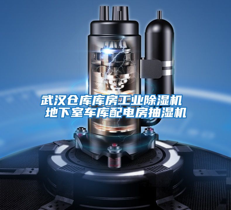 武漢倉庫庫房工業(yè)除濕機 地下室車(chē)庫配電房抽濕機