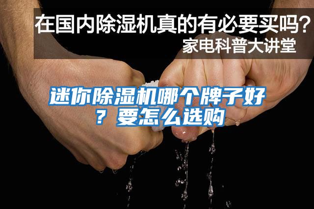 迷你除濕機哪個(gè)牌子好？要怎么選購