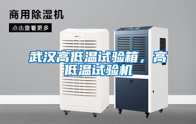 武漢高低溫試驗箱，高低溫試驗機