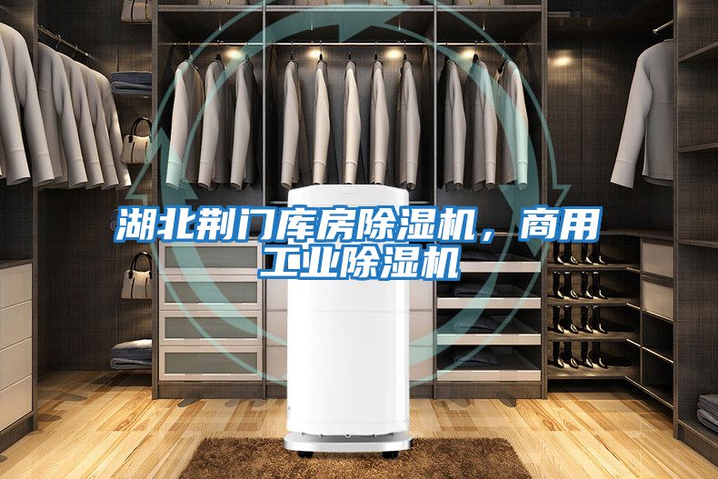 湖北荊門(mén)庫房除濕機，商用工業(yè)除濕機