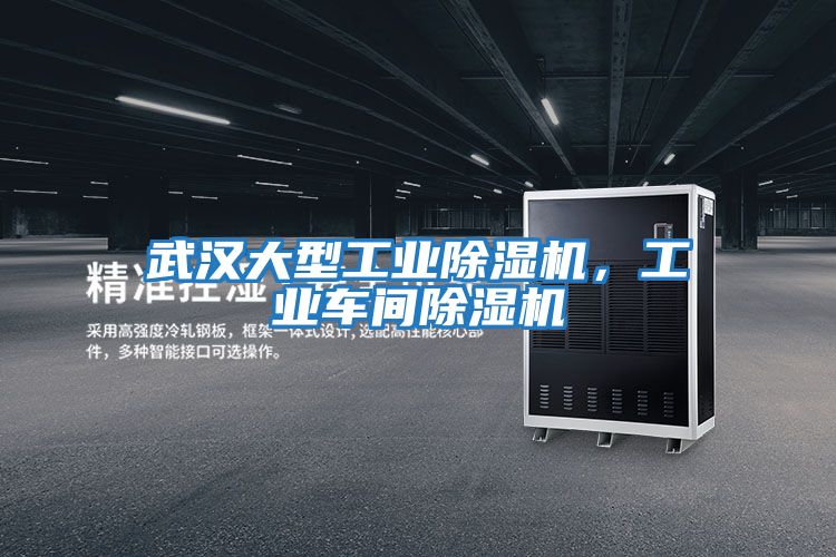 武漢大型工業(yè)除濕機，工業(yè)車(chē)間除濕機