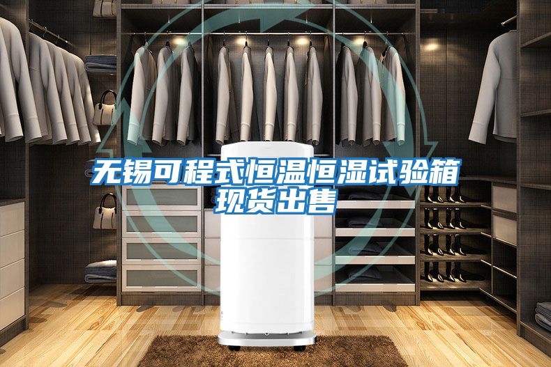 無(wú)錫可程式恒溫恒濕試驗箱現貨出售