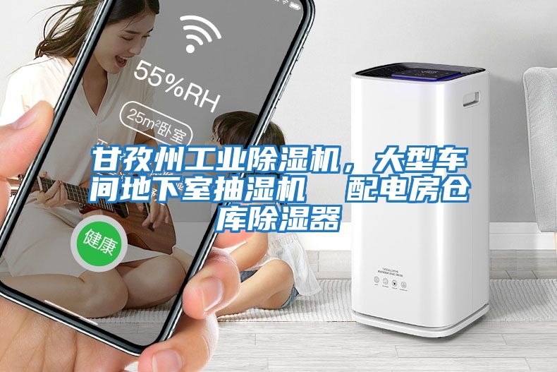 甘孜州工業(yè)除濕機，大型車(chē)間地下室抽濕機  配電房倉庫除濕器