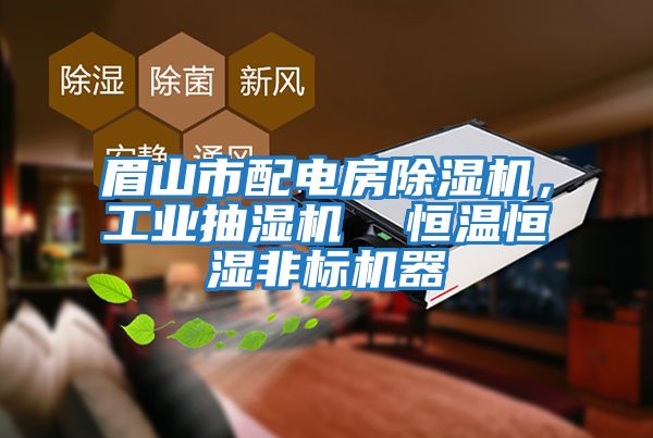 眉山市配電房除濕機，工業(yè)抽濕機  恒溫恒濕非標機器