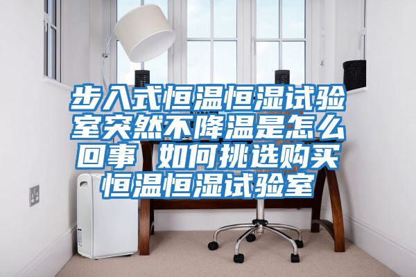 步入式恒溫恒濕試驗室突然不降溫是怎么回事 如何挑選購買(mǎi)恒溫恒濕試驗室