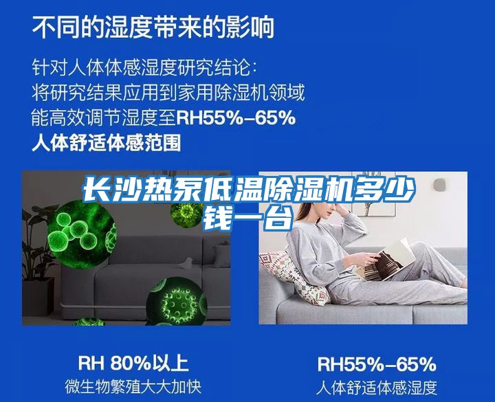 長(cháng)沙熱泵低溫除濕機多少錢(qián)一臺