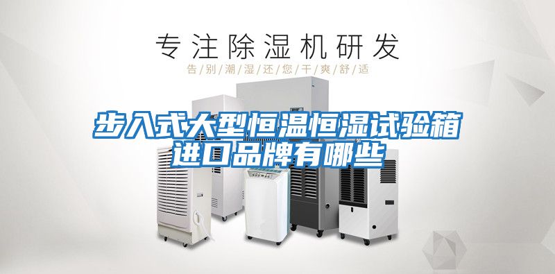 步入式大型恒溫恒濕試驗箱進(jìn)口品牌有哪些