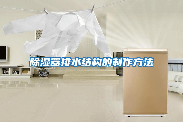 除濕器排水結構的制作方法