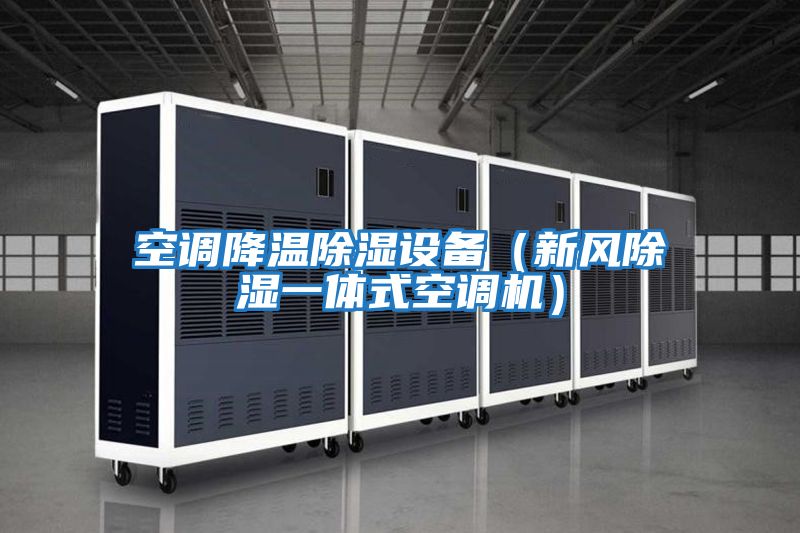 空調降溫除濕設備（新風(fēng)除濕一體式空調機）