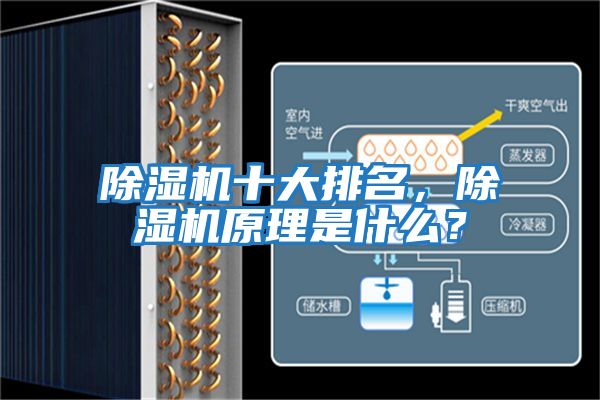 除濕機十大排名，除濕機原理是什么？