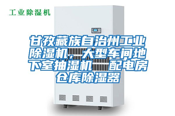 甘孜藏族自治州工業(yè)除濕機，大型車(chē)間地下室抽濕機  配電房倉庫除濕器