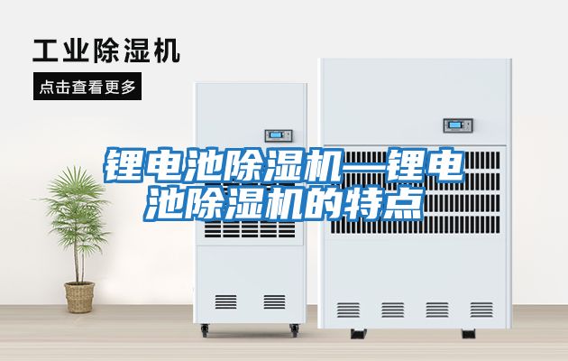 鋰電池除濕機—鋰電池除濕機的特點(diǎn)