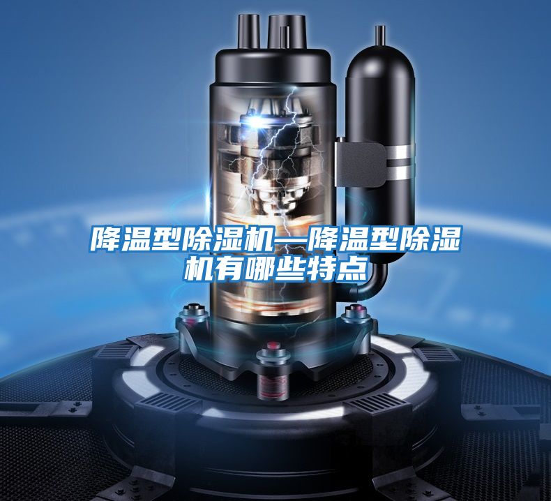 降溫型除濕機—降溫型除濕機有哪些特點(diǎn)