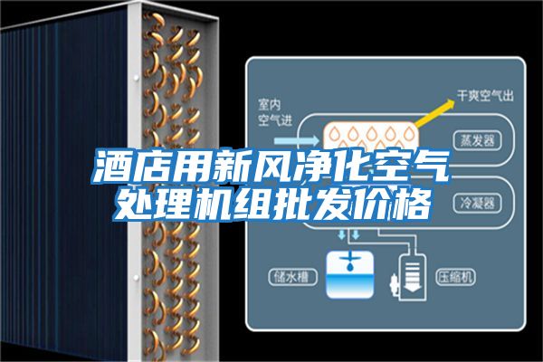 酒店用新風(fēng)凈化空氣處理機組批發(fā)價(jià)格