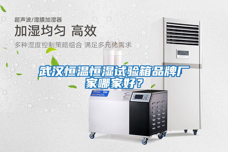 武漢恒溫恒濕試驗箱品牌廠(chǎng)家哪家好？