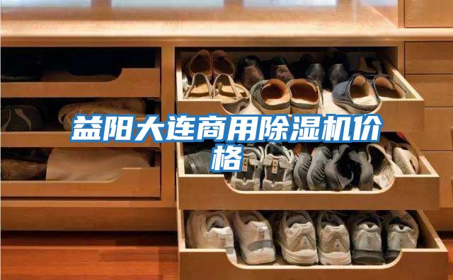 益陽(yáng)大連商用除濕機價(jià)格