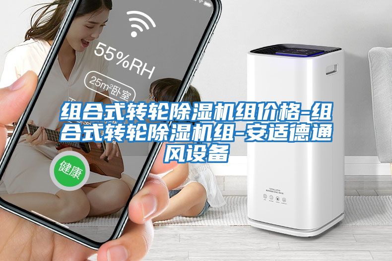 組合式轉輪除濕機組價(jià)格-組合式轉輪除濕機組-安適德通風(fēng)設備