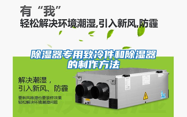 除濕器專(zhuān)用致冷件和除濕器的制作方法