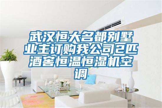 武漢恒大名都別墅業(yè)主訂購我公司2匹酒窖恒溫恒濕機空調