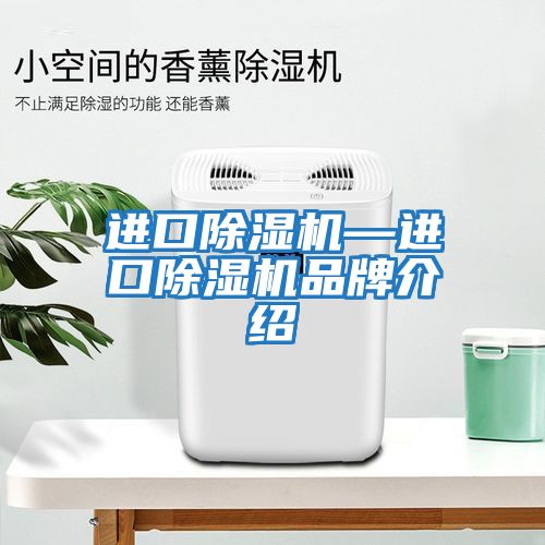 進(jìn)口除濕機—進(jìn)口除濕機品牌介紹