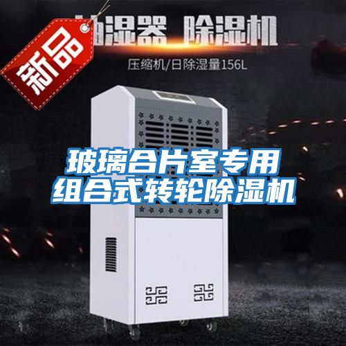玻璃合片室專(zhuān)用組合式轉輪除濕機