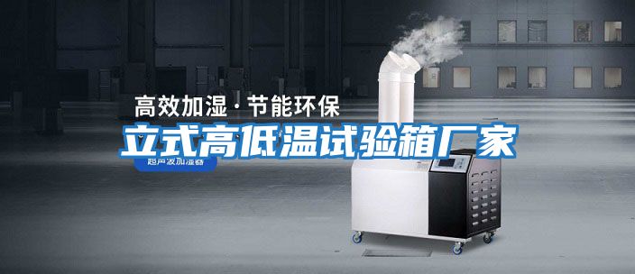 立式高低溫試驗箱廠(chǎng)家