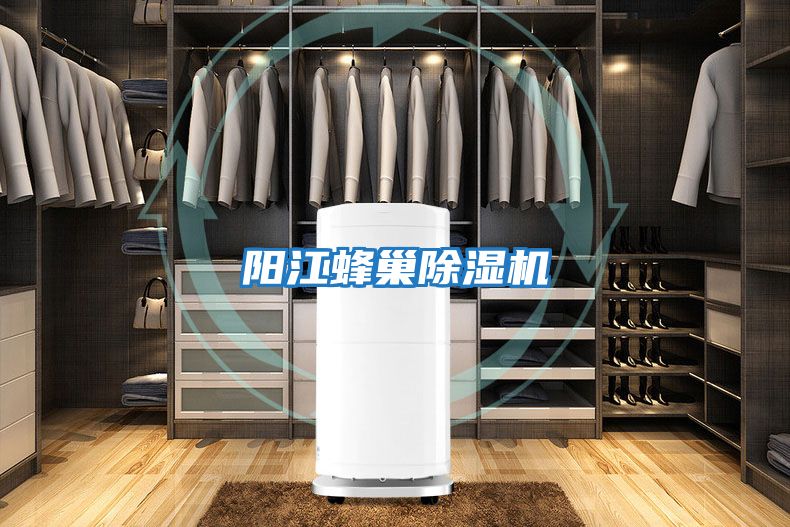 陽(yáng)江蜂巢除濕機