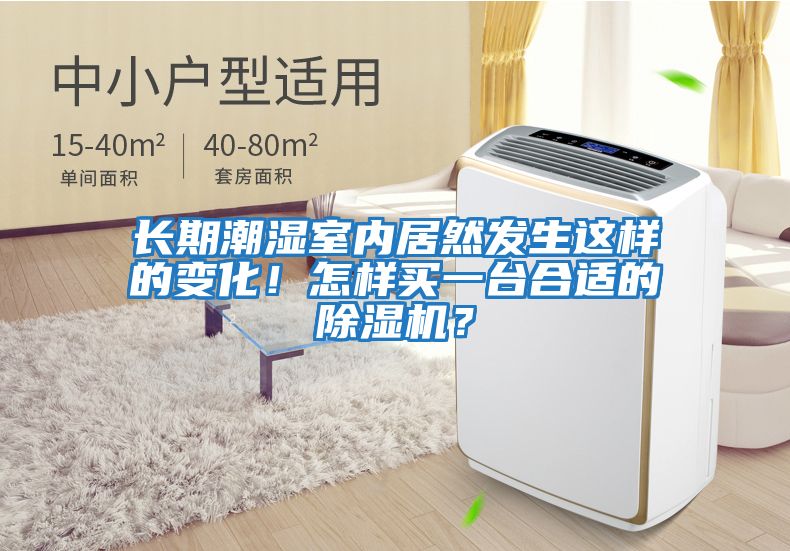 長(cháng)期潮濕室內居然發(fā)生這樣的變化！怎樣買(mǎi)一臺合適的除濕機？