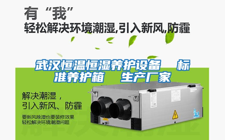 武漢恒溫恒濕養護設備  標準養護箱  生產(chǎn)廠(chǎng)家