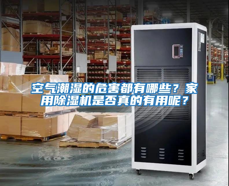 空氣潮濕的危害都有哪些？家用除濕機是否真的有用呢？