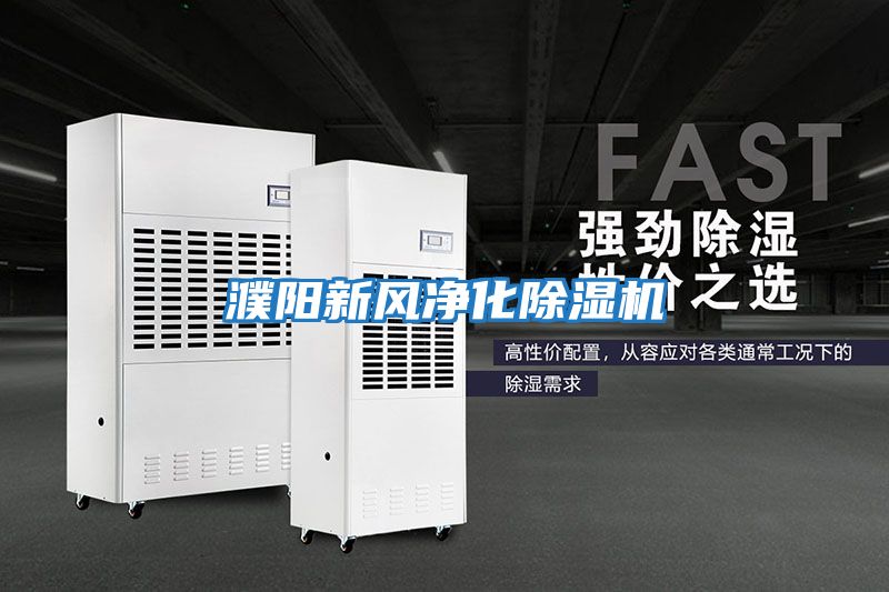 濮陽(yáng)新風(fēng)凈化除濕機