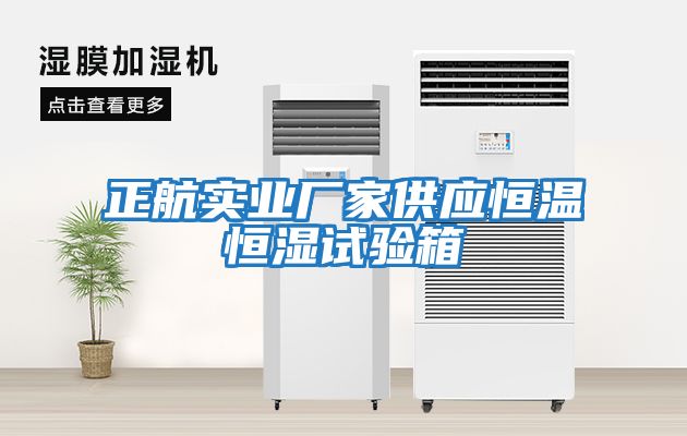 正航實(shí)業(yè)廠(chǎng)家供應恒溫恒濕試驗箱