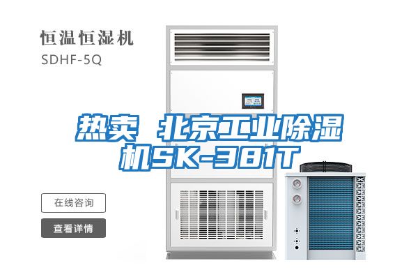 熱賣(mài) 北京工業(yè)除濕機SK-381T