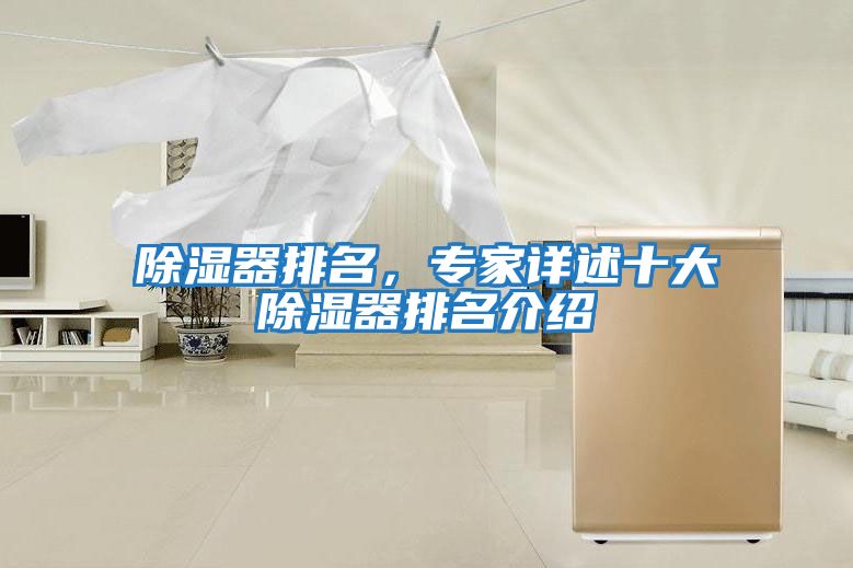 除濕器排名，專(zhuān)家詳述十大除濕器排名介紹