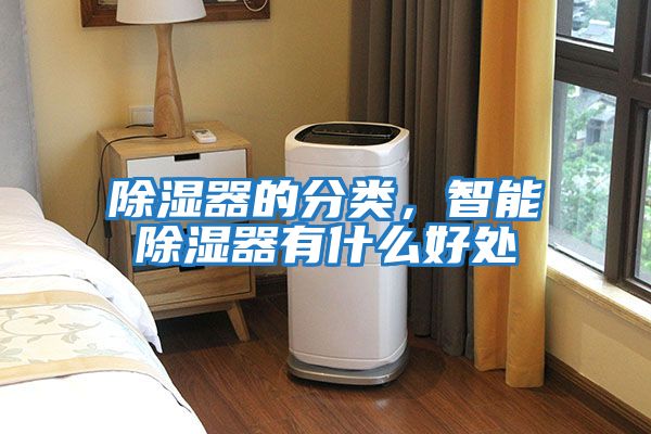 除濕器的分類(lèi)，智能除濕器有什么好處