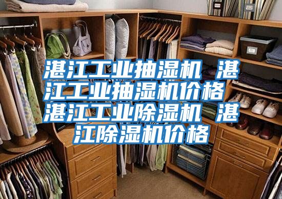 湛江工業(yè)抽濕機 湛江工業(yè)抽濕機價(jià)格 湛江工業(yè)除濕機 湛江除濕機價(jià)格