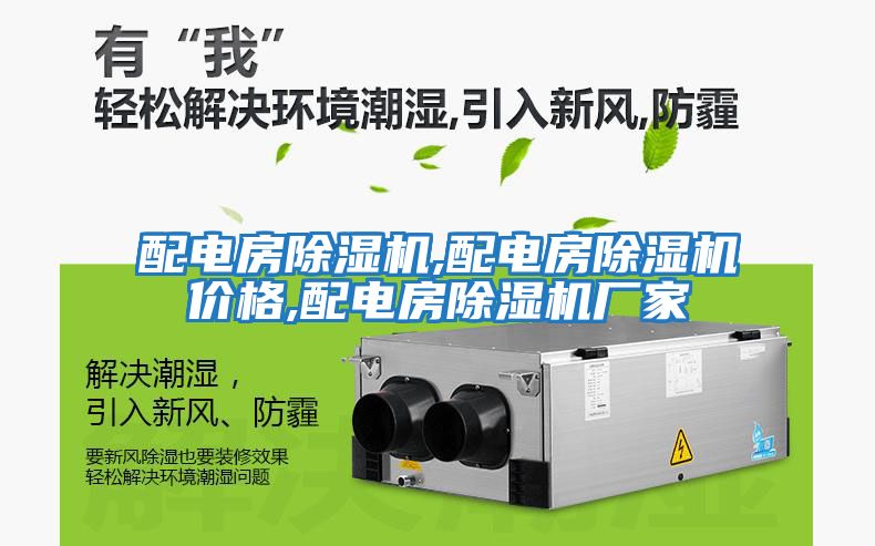 配電房除濕機,配電房除濕機價(jià)格,配電房除濕機廠(chǎng)家