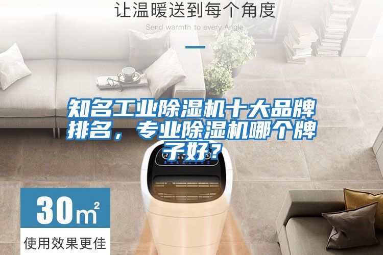 知名工業(yè)除濕機十大品牌排名，專(zhuān)業(yè)除濕機哪個(gè)牌子好？
