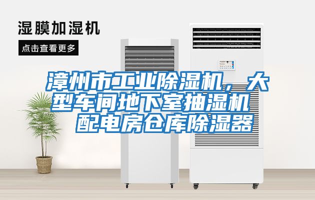 漳州市工業(yè)除濕機，大型車(chē)間地下室抽濕機  配電房倉庫除濕器