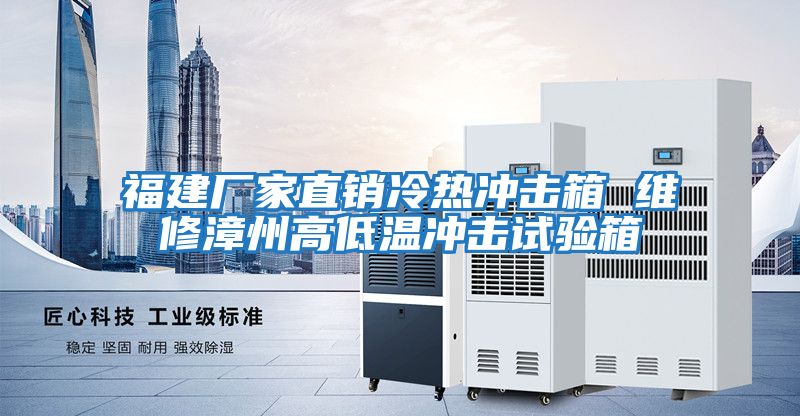 福建廠(chǎng)家直銷(xiāo)冷熱沖擊箱 維修漳州高低溫沖擊試驗箱