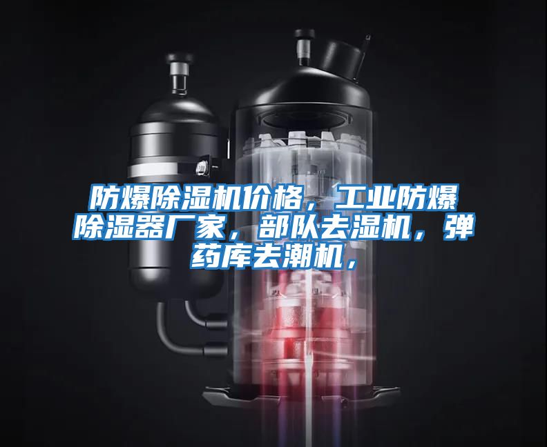 防爆除濕機價(jià)格，工業(yè)防爆除濕器廠(chǎng)家，部隊去濕機，彈藥庫去潮機，