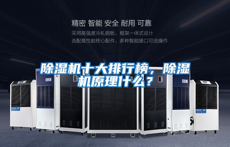除濕機十大排行榜，除濕機原理什么？