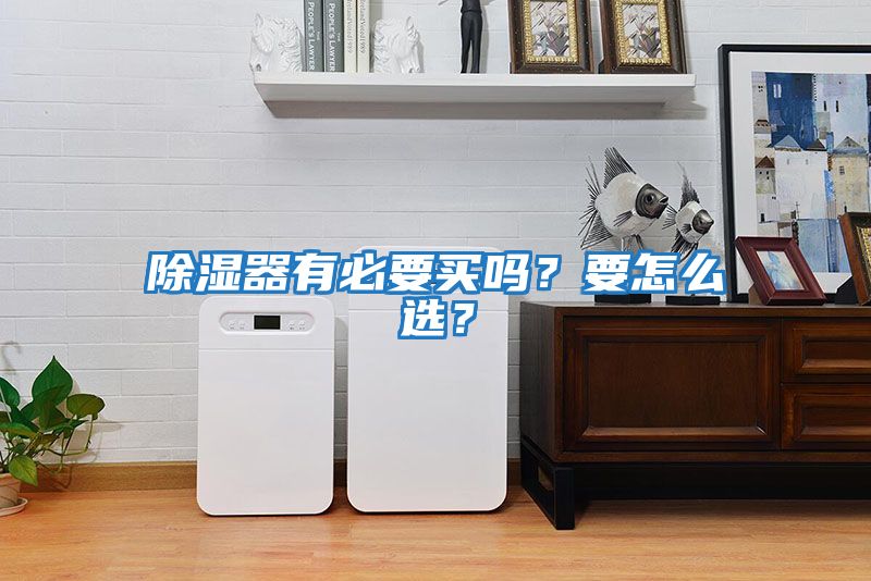 除濕器有必要買(mǎi)嗎？要怎么選？