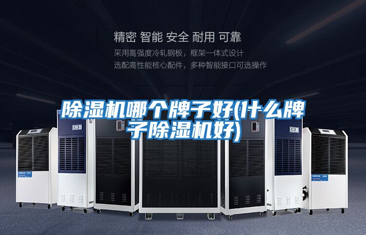 除濕機哪個(gè)牌子好(什么牌子除濕機好)