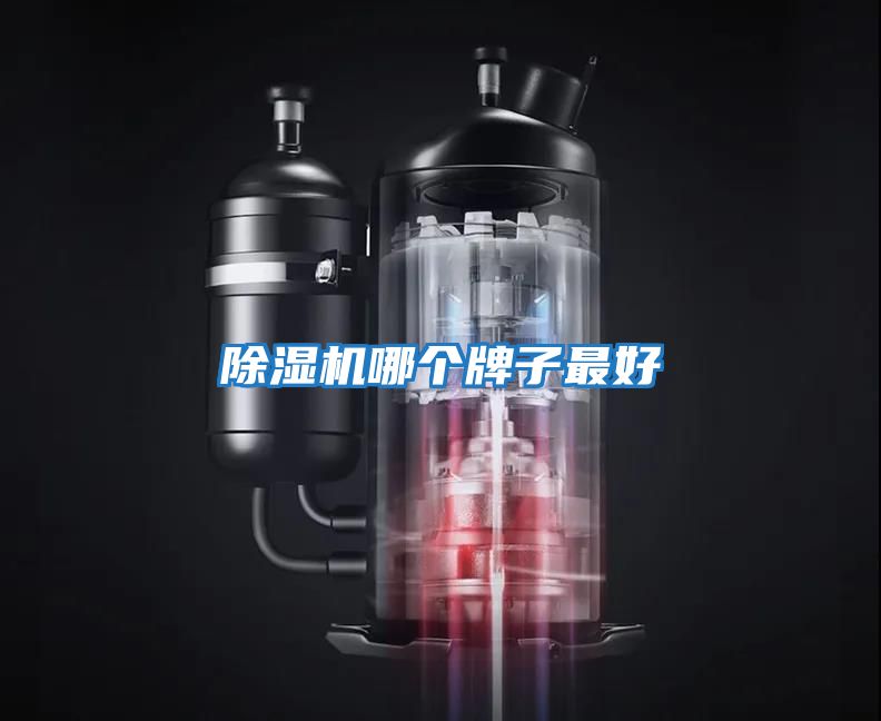 除濕機哪個(gè)牌子最好