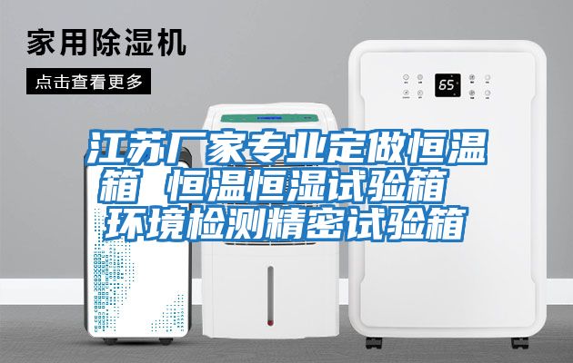 江蘇廠(chǎng)家專(zhuān)業(yè)定做恒溫箱 恒溫恒濕試驗箱 環(huán)境檢測精密試驗箱