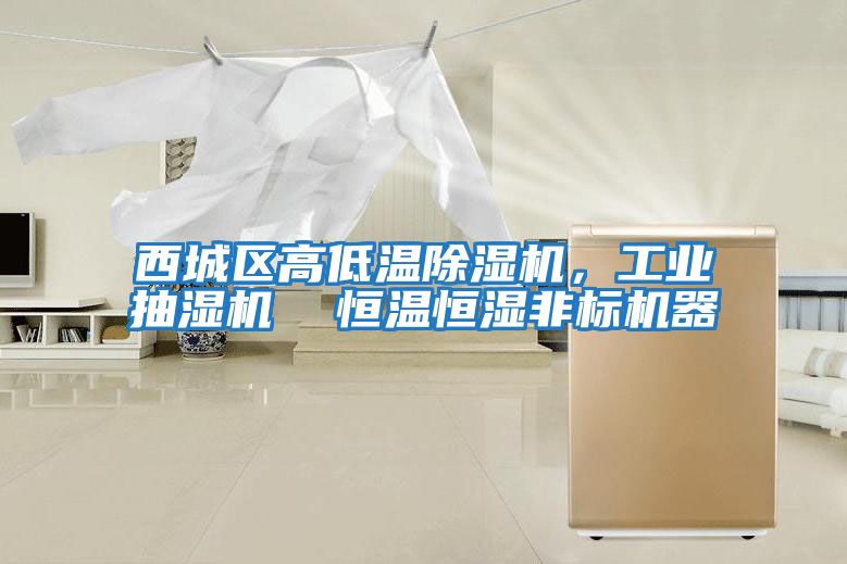 西城區高低溫除濕機，工業(yè)抽濕機  恒溫恒濕非標機器
