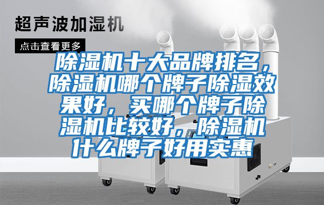 除濕機十大品牌排名，除濕機哪個(gè)牌子除濕效果好，買(mǎi)哪個(gè)牌子除濕機比較好，除濕機什么牌子好用實(shí)惠